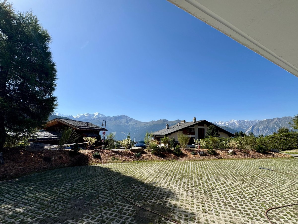 Apollo Verbier — Photo 11